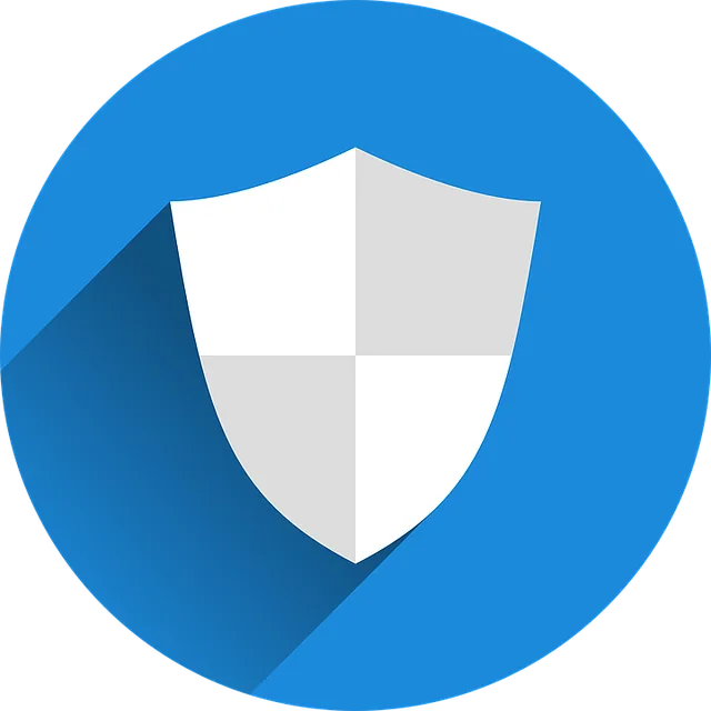 Cyber security shield