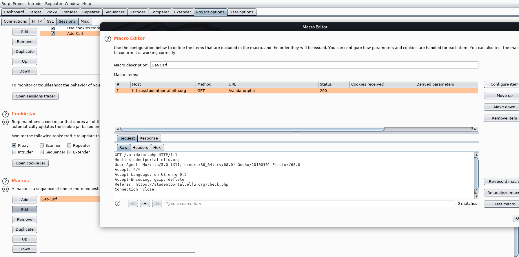 Burp Config 1