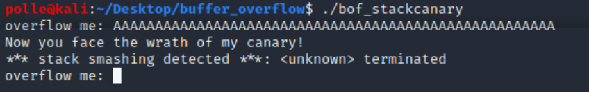 Stack Smashing Detected