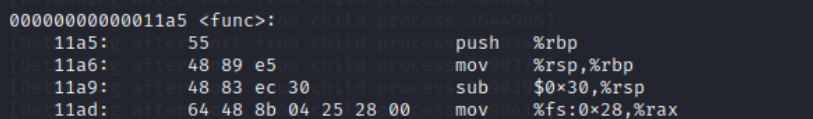 objdump func